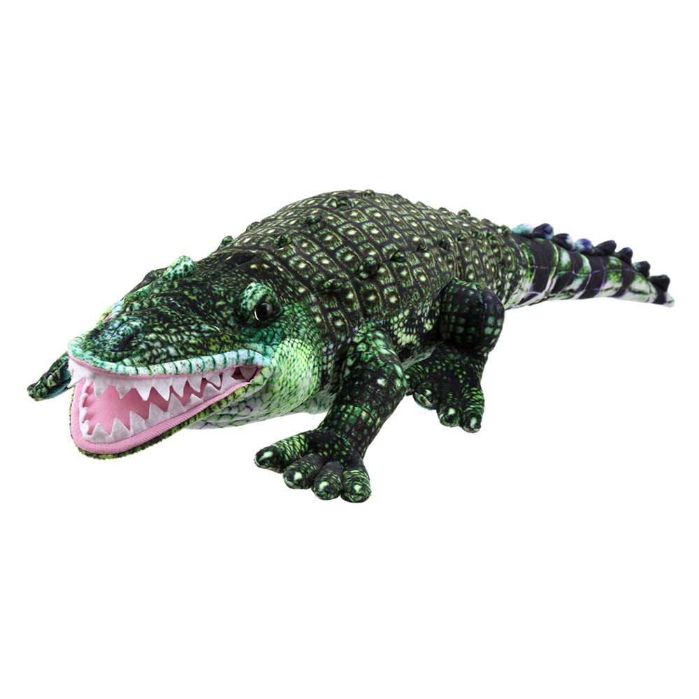 Alligator - Large Creatures
