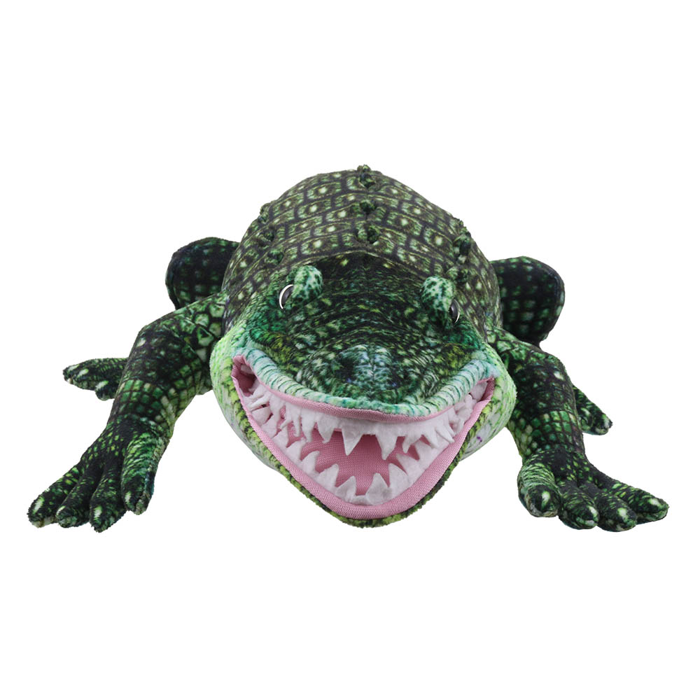 Alligator - Large Creatures