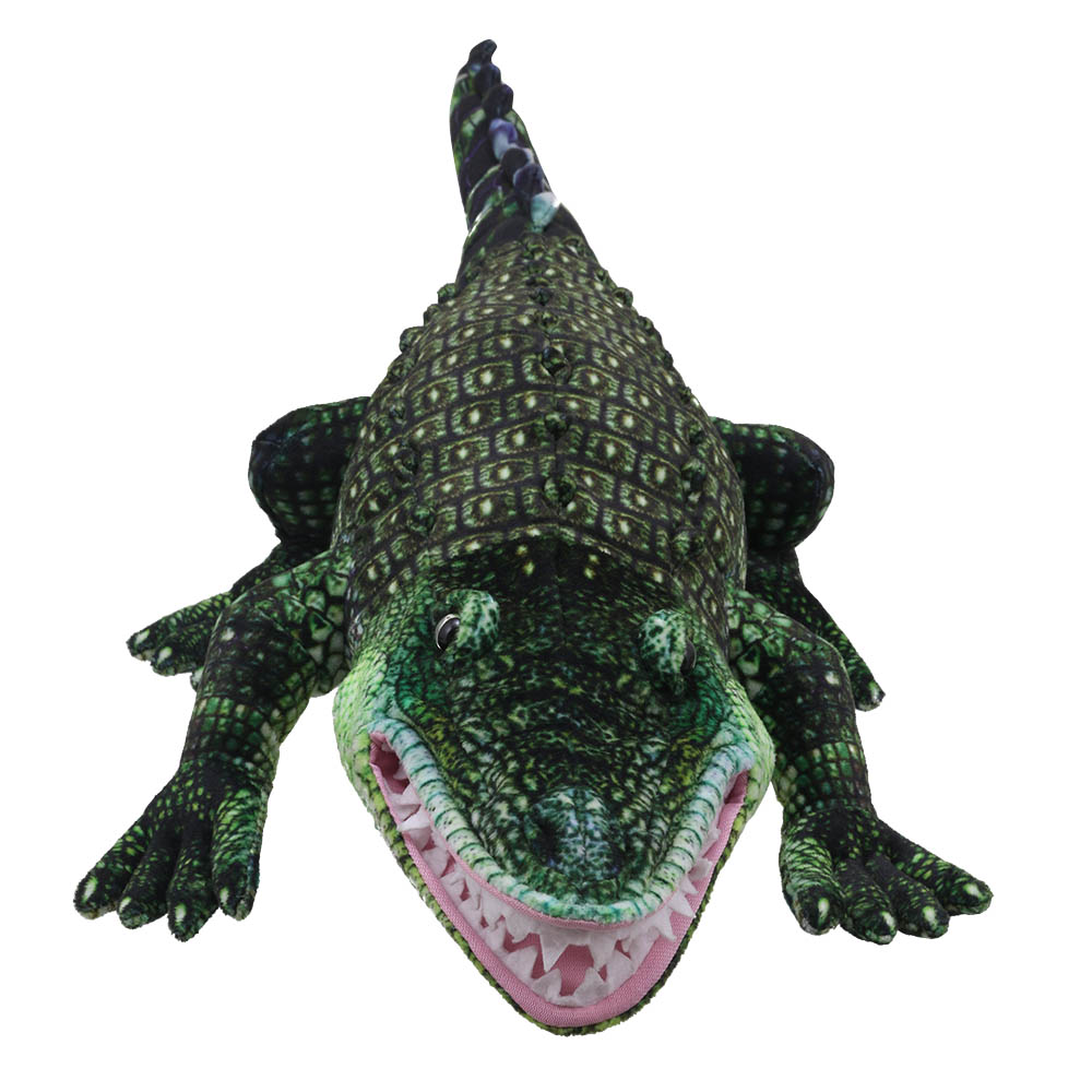 Alligator - Large Creatures