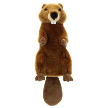 Beaver - Long-Sleeved