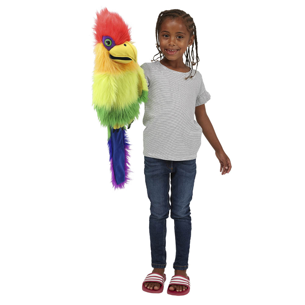 Rainbow Bird