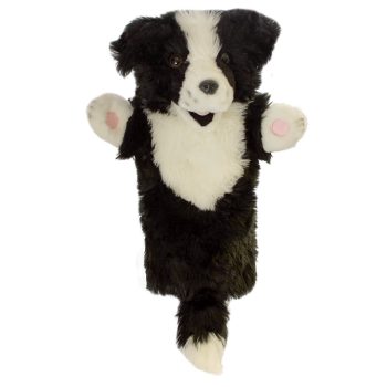 Border Collie - Long-Sleeved