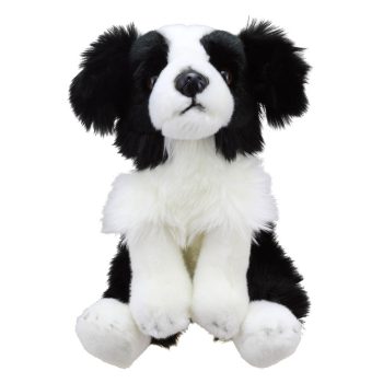 Border Collie - Wilberry Favourites