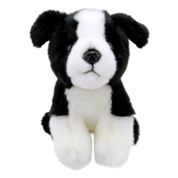 Border Collie - Wilberry Minis