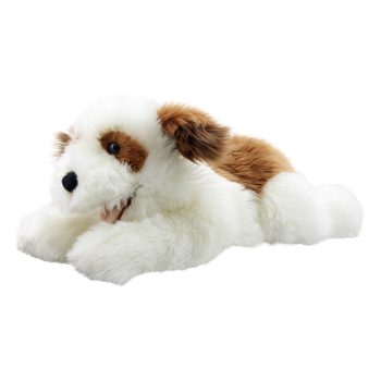 Brown & White - Playful Puppies