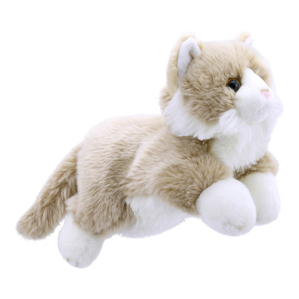 Cat - Beige & White - Full-Bodied