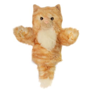 Cat - Ginger - CarPets