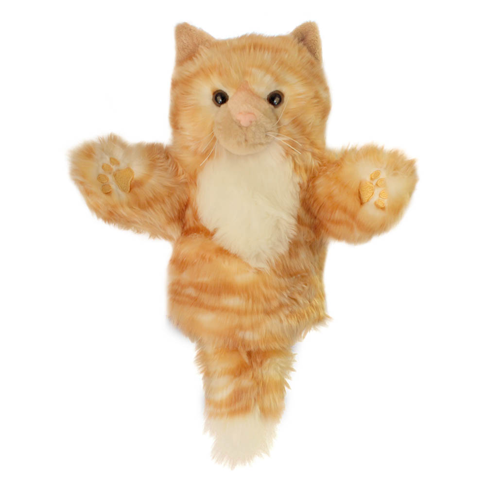 Cat - Ginger - CarPets