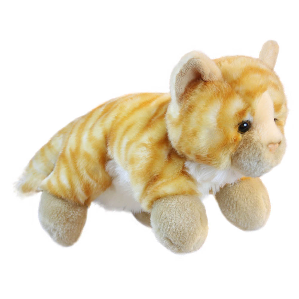 Cat - Full-Bodied