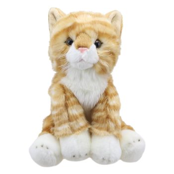 Cat (Ginger) - Wilberry Favourites