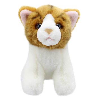 Cat (Gold Stripe) - Wilberry Minis
