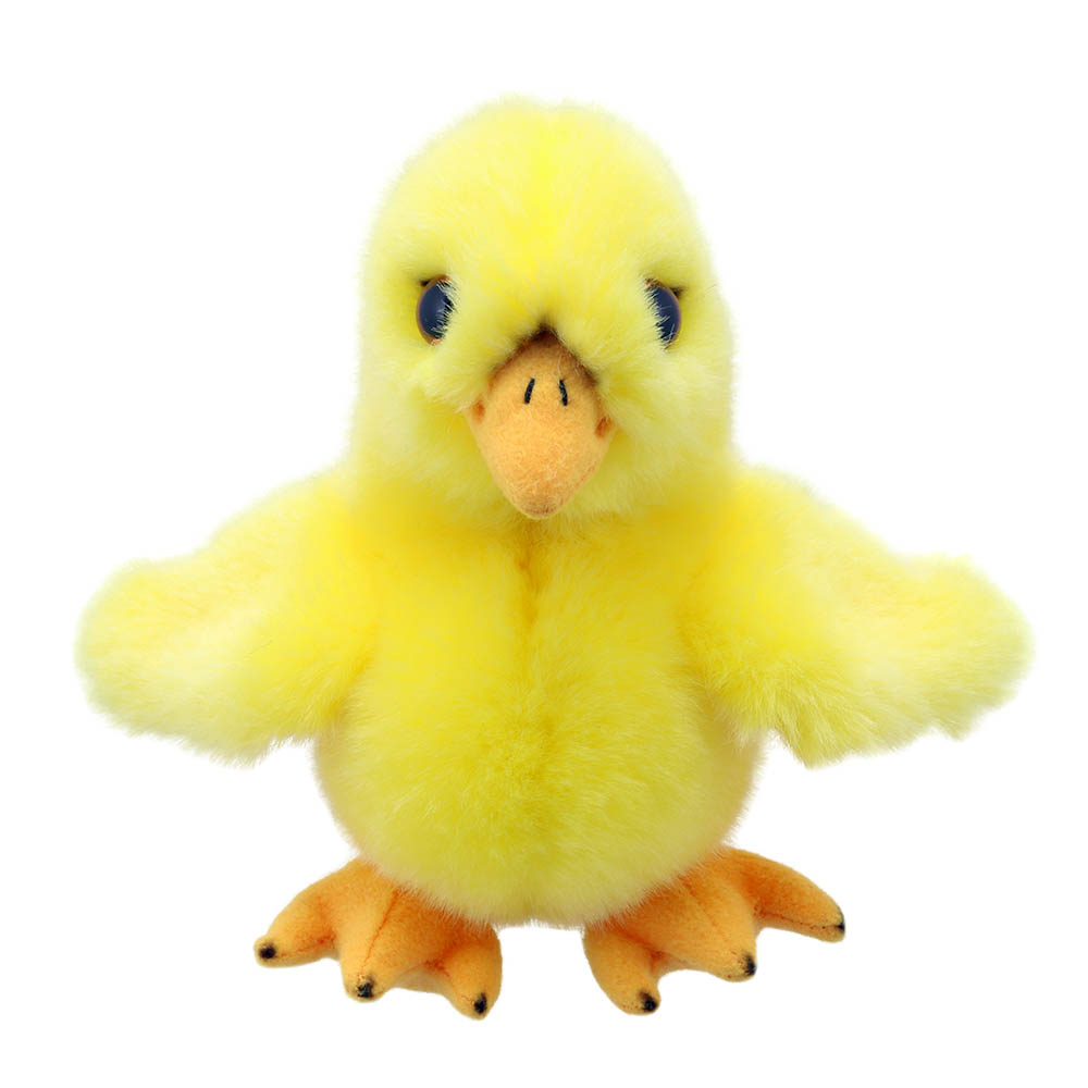Chick - Wilberry Minis