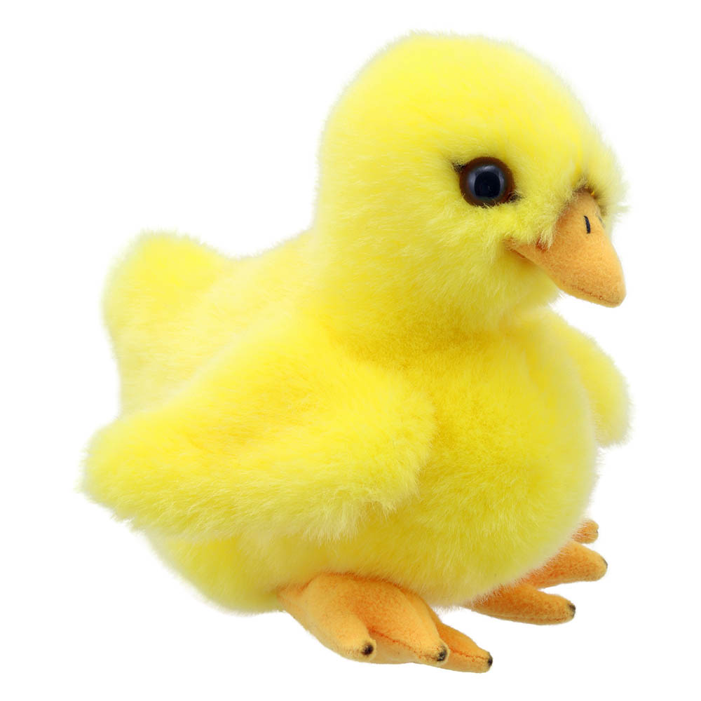 Chick - Wilberry Minis