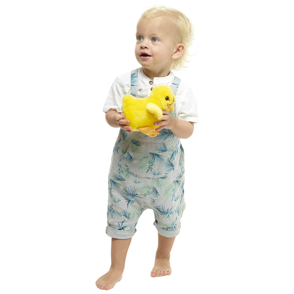 Chick - Wilberry Minis