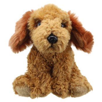Cockapoo (Golden) - Wilberry Favourites