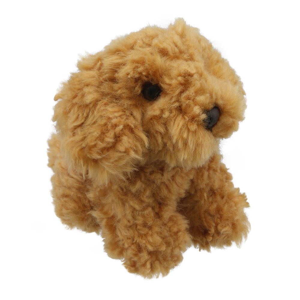 Cockapoo - Wilberry Minis