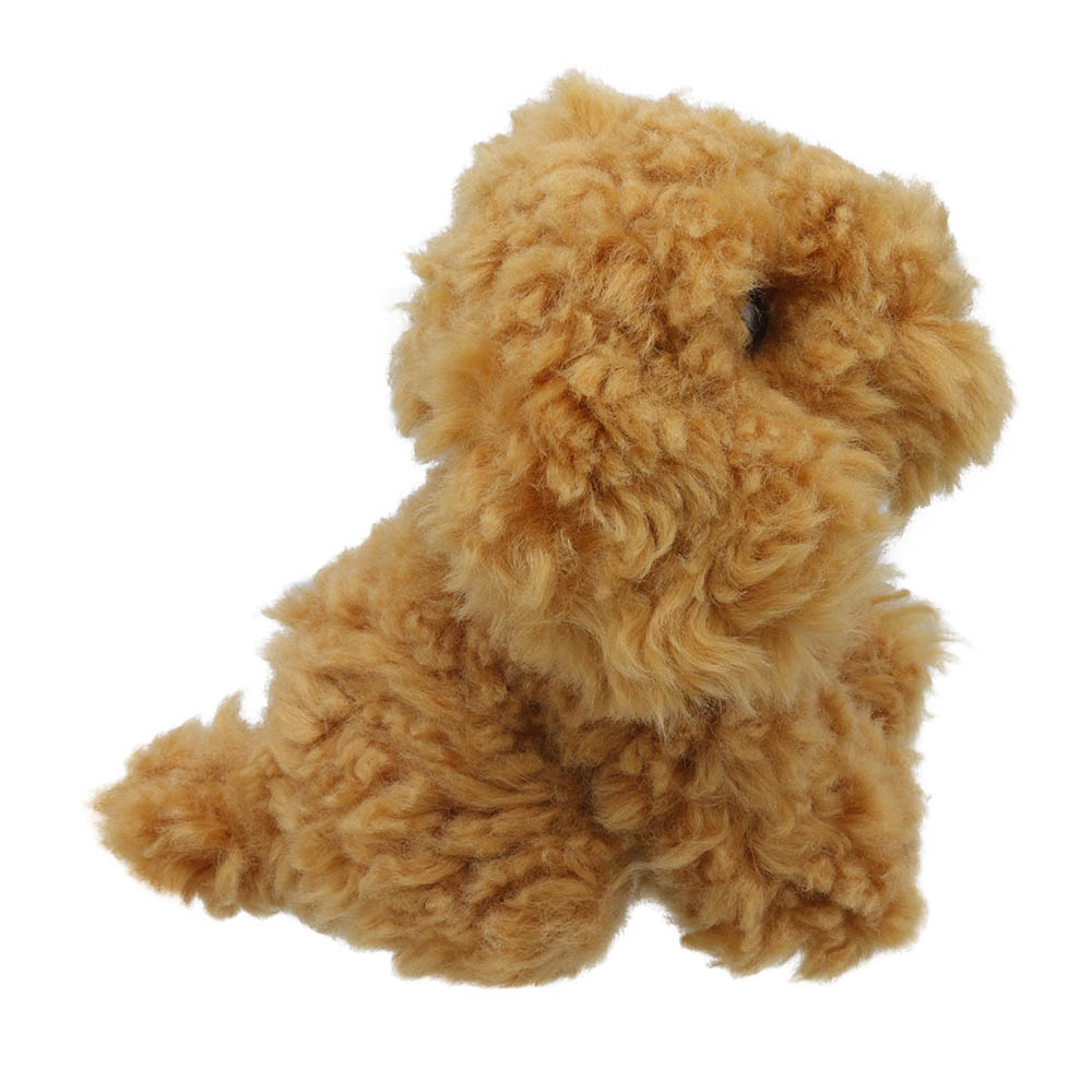 Cockapoo - Wilberry Minis