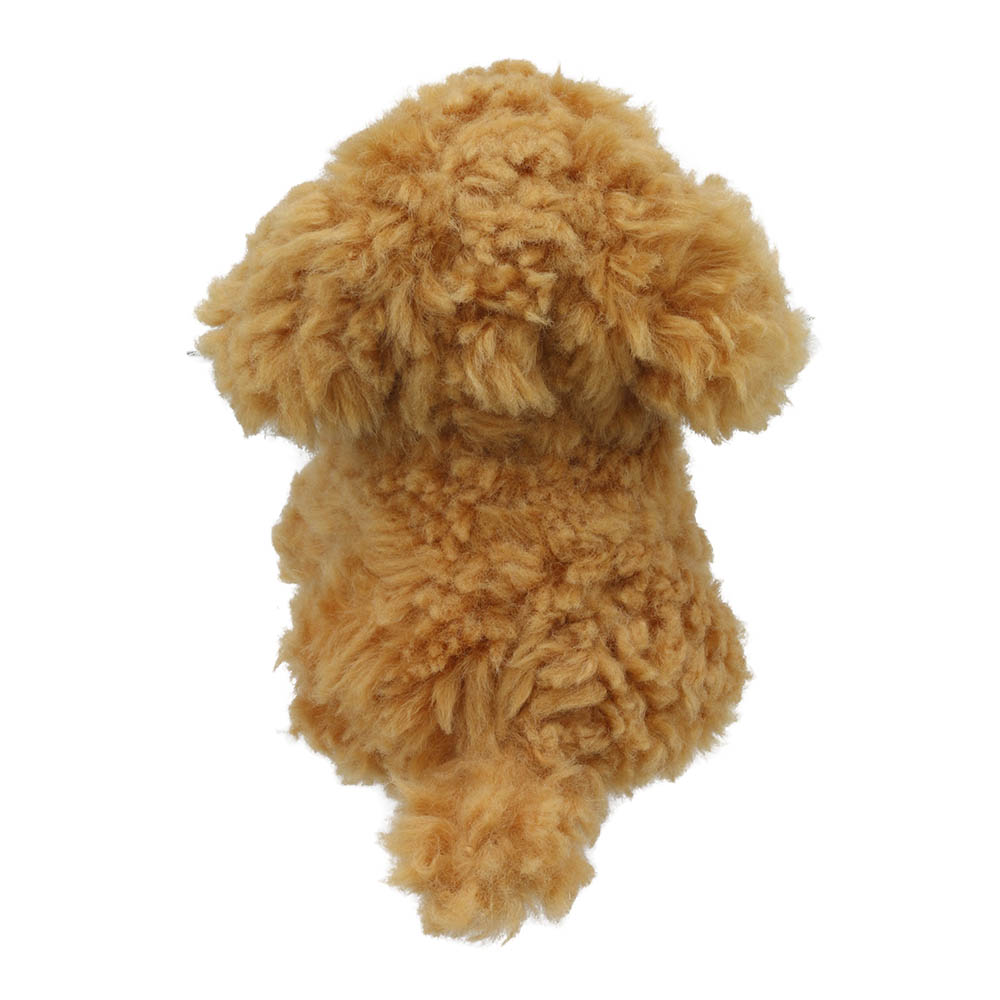 Cockapoo - Wilberry Minis