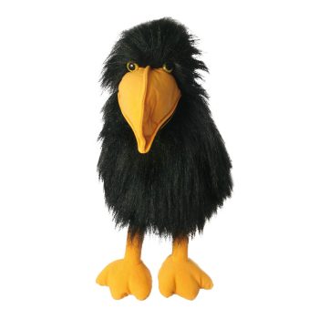Crow - Basic Birds