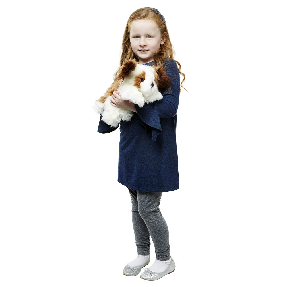 Dog - Brown & White - Full-Bodied