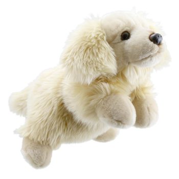 Golden Retriever - Full-Bodied