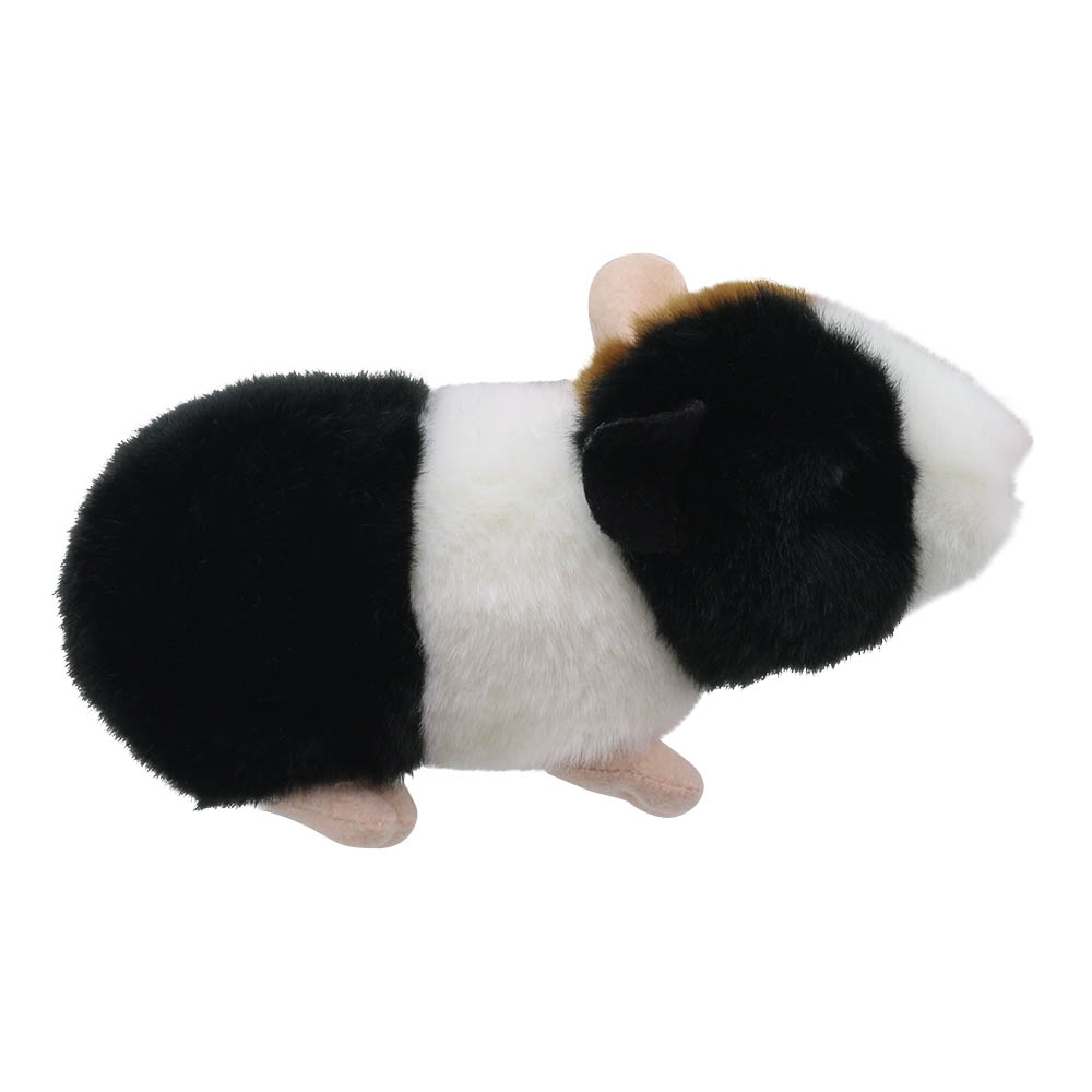 Guinea Pig - Wilberry Minis