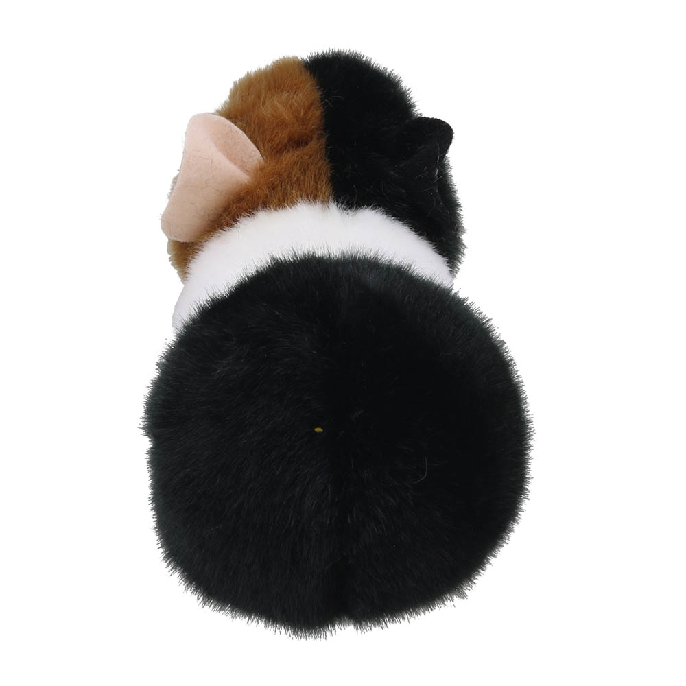 Guinea Pig - Wilberry Minis