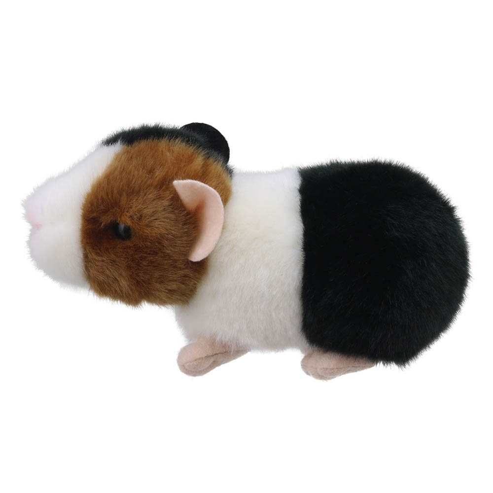 Guinea Pig - Wilberry Minis