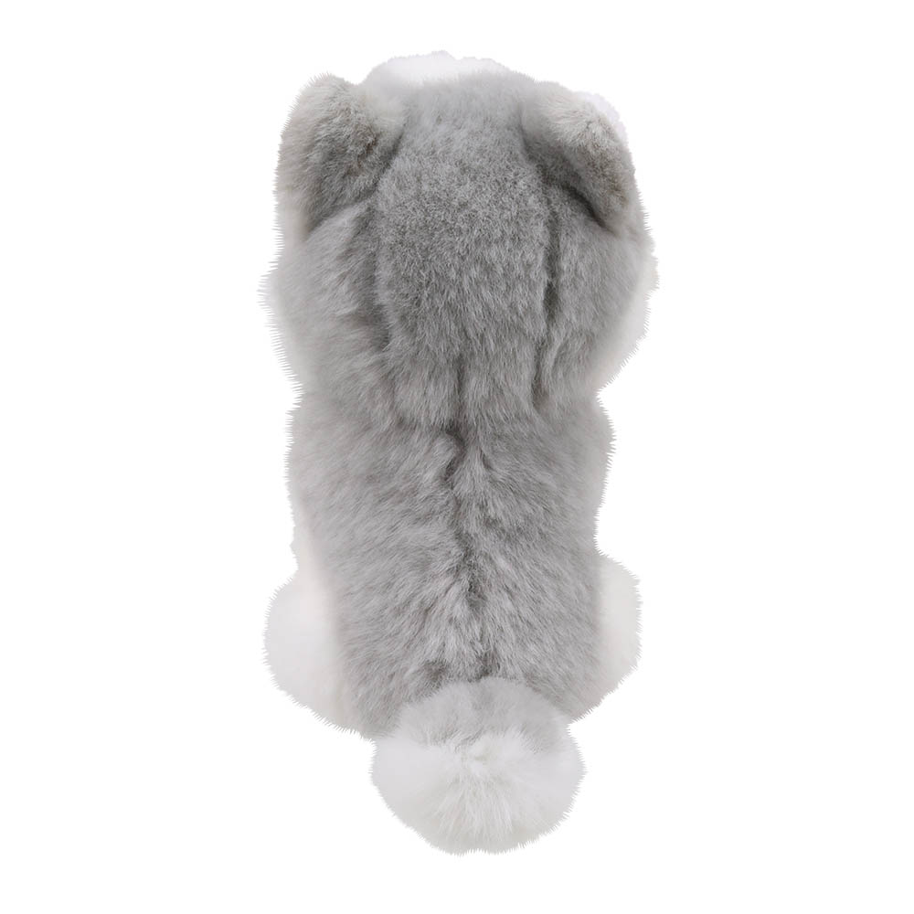 Husky - Wilberry Minis