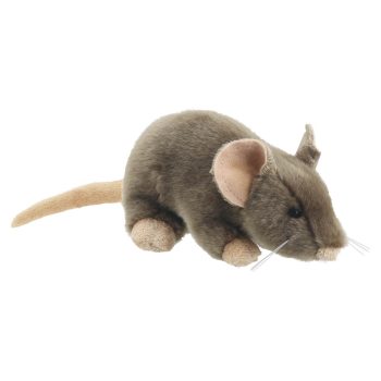 Rat - Brown - Wilberry Minis