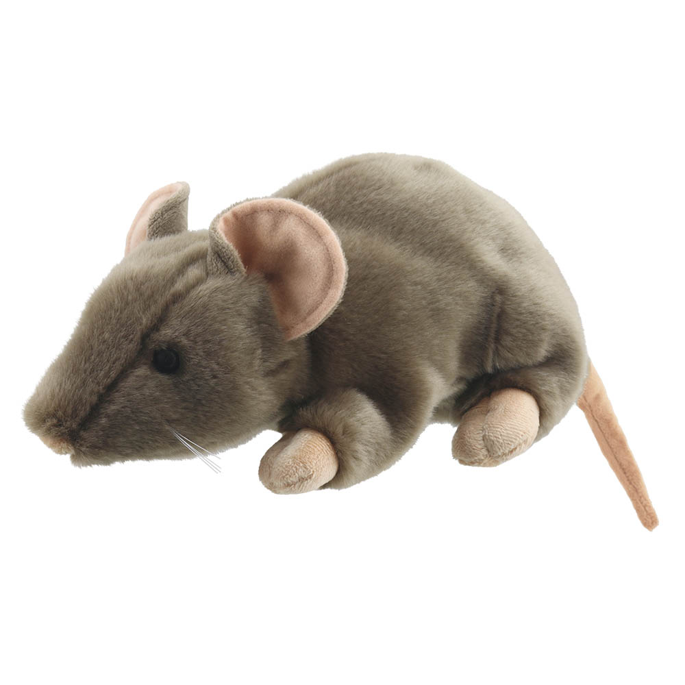 Rat - Brown - Full-Bodied