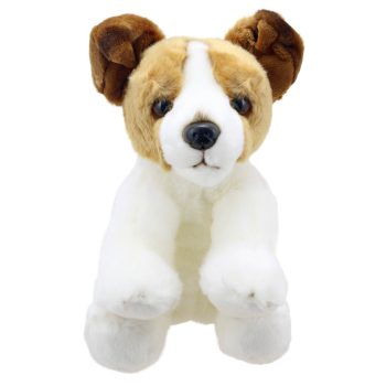 Jack Russell Terrier - Wilberry Favourites