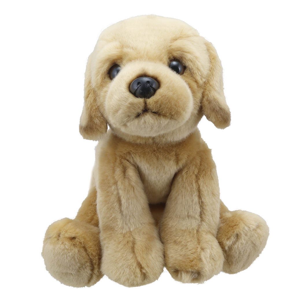 Labrador (Yellow) - Wilberry Favourites