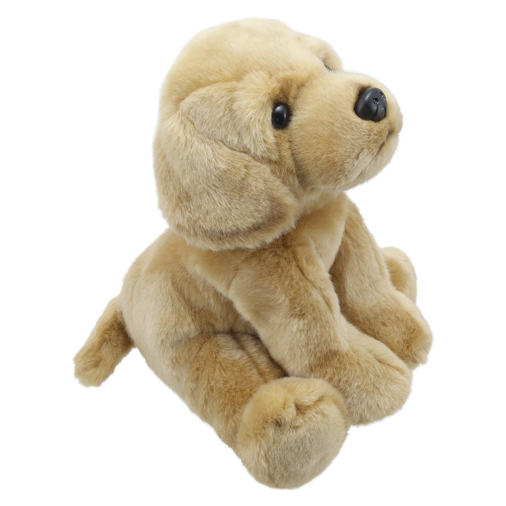 Labrador (Yellow) - Wilberry Favourites