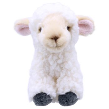 Lamb - Wilberry Minis