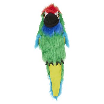 Military Macaw - Large Birds