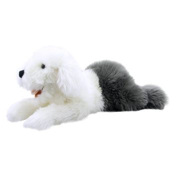 Old English Sheepdog - Playful Puppies