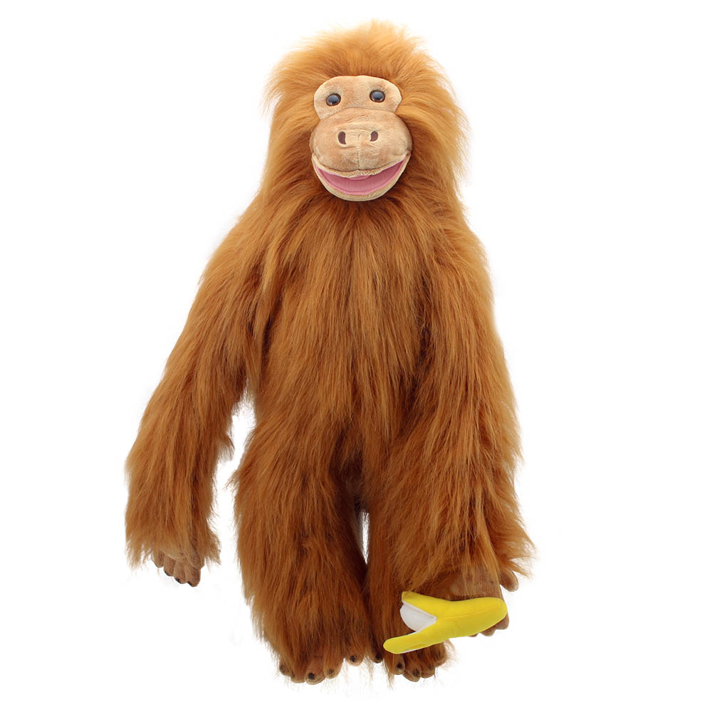 Orangutan - Large Primates