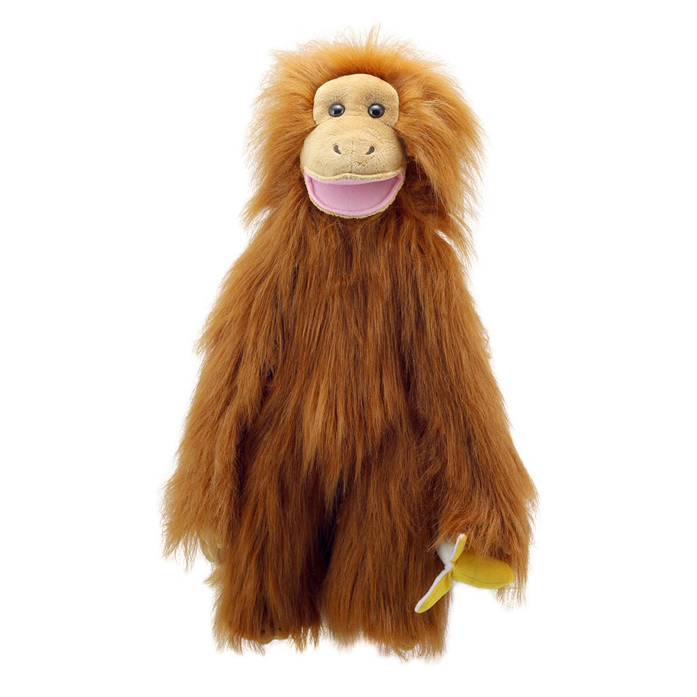 Orangutan - Medium Primates