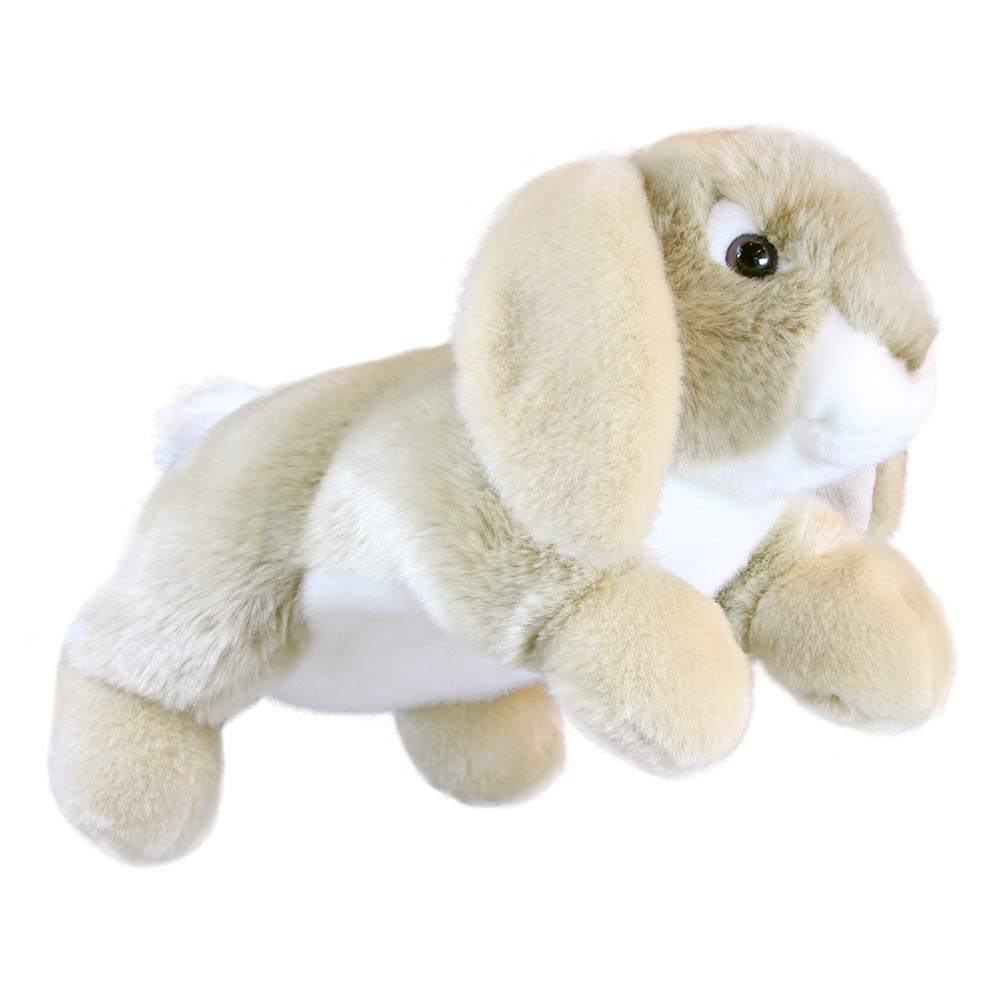 Rabbit - Lop-Eared - Full-Bodied
