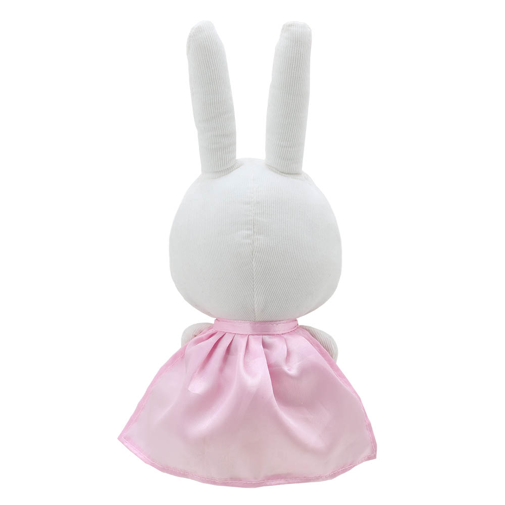 Rabbit Super Hero