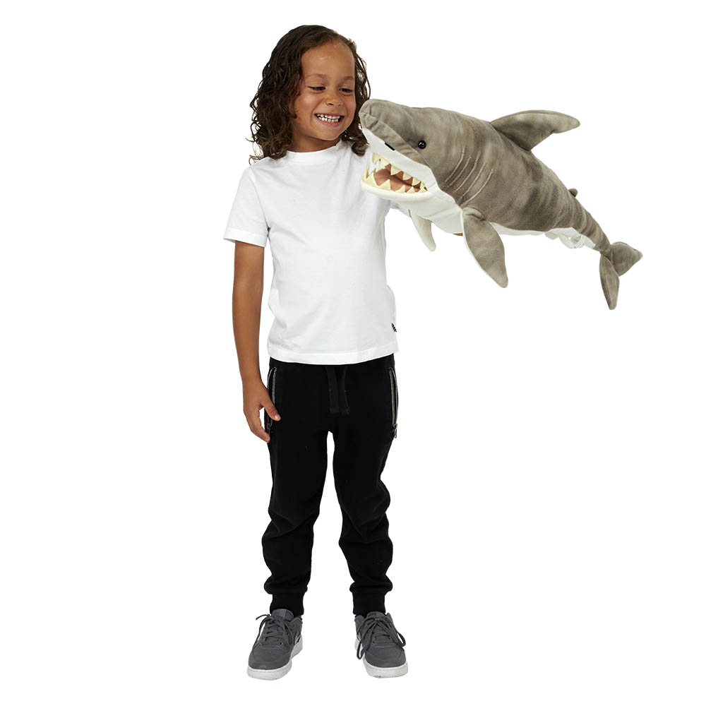 Shark - Large Creatures