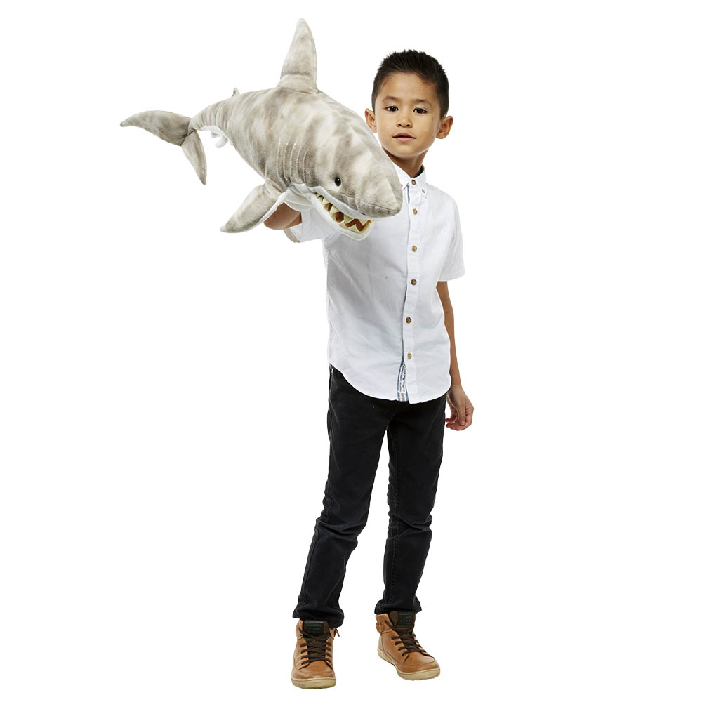 Shark - Large Creatures