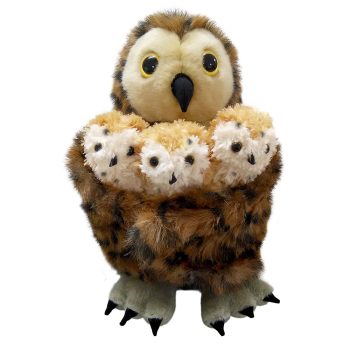Tawny Owl - with 3 Babies - Hide-Aways