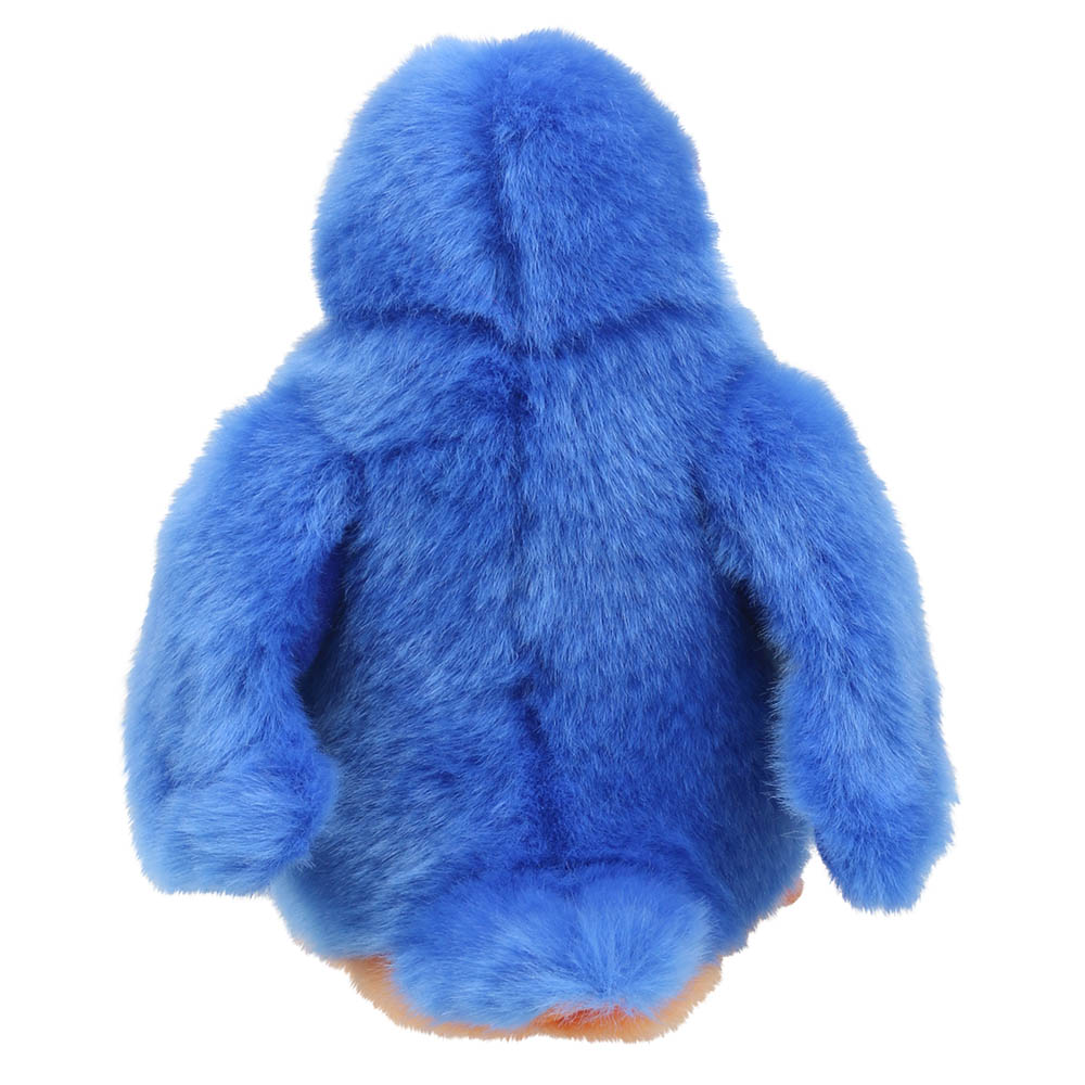 Kingfisher – Wilberry Minis