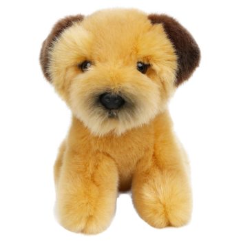 Border Terrier – Wilberry Minis