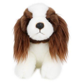 Springer Spaniel – Wilberry Minis