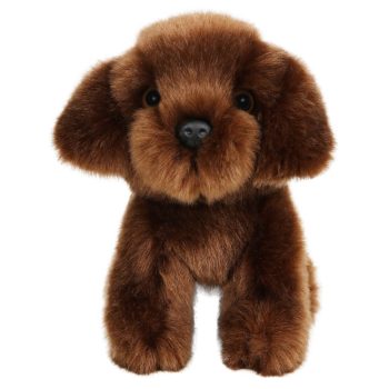Brown Labrador – Wilberry Minis