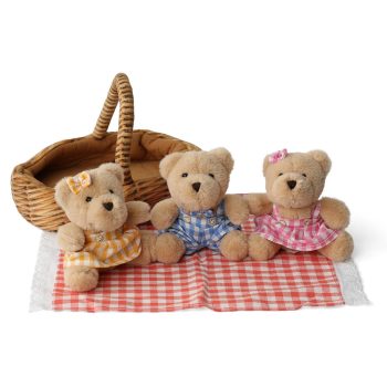NEW - Wilberry Teddy Bears Picnic